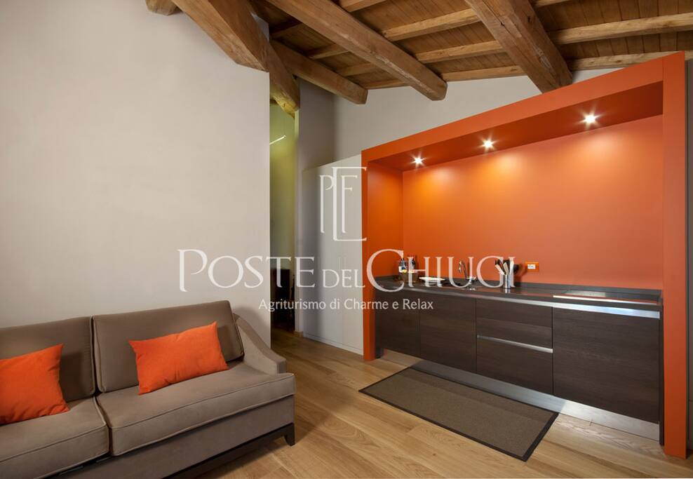 Living room and kitchen