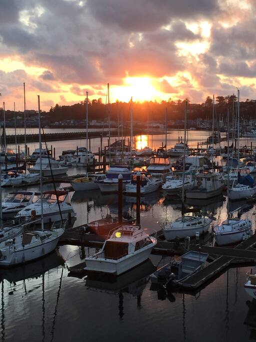 Sunset View