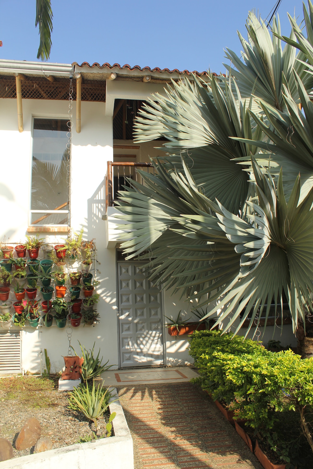 The exterior of the house features a pathway lined with greenery and tropical plants. A wall adorned with vibrant potted flowers adds a touch of color. The entrance displays a light-colored door framed by decorative foliage, inviting guests into the home.