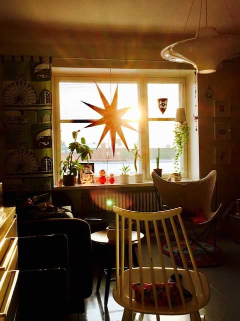 Successful Airbnb property: Fantastic family home in Helsinki's Hipster Area! in Keskinen Suurpiiri
