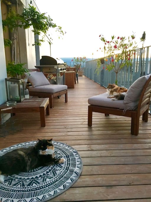 Rooftop terrasse access from every rooms
