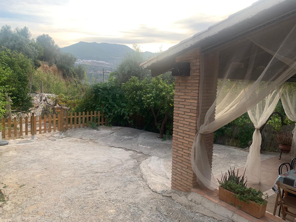 An outdoor area is visible, featuring a textured concrete surface and a rustic wooden fence. Lush greenery, including trees and shrubs, surrounds the space, while soft drapes gently sway near a covered patio, creating an inviting environment that blends with the natural landscape.