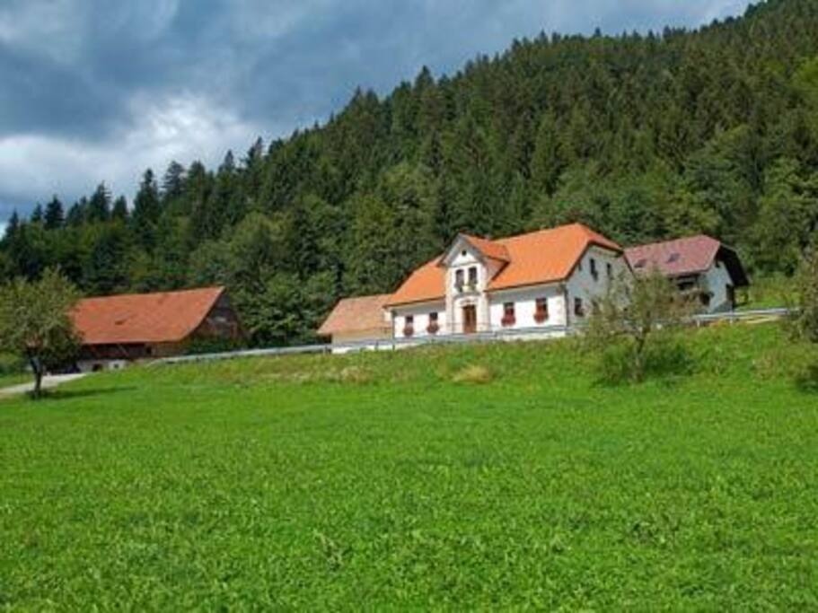 Outside area, very close to the river Savinja
