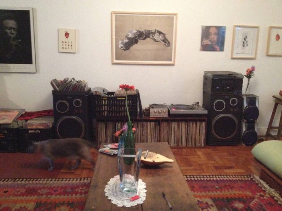 sala ampla, acervo de discos, TV a cabo, internet wi-fi, coleção de arte.