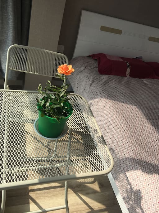绿植