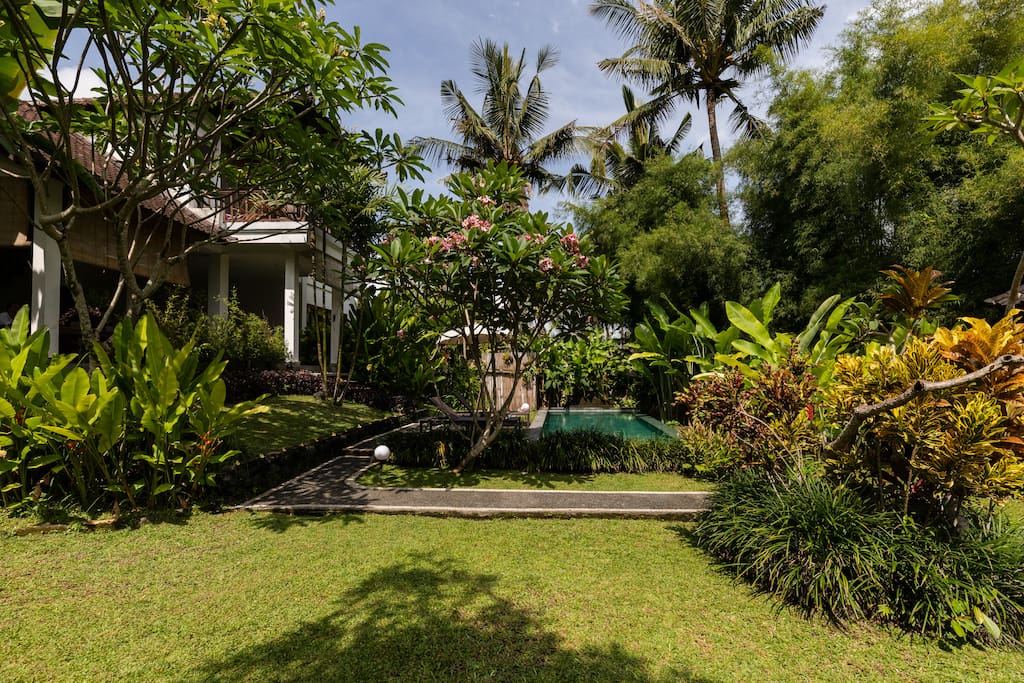 Large and spacious garden.