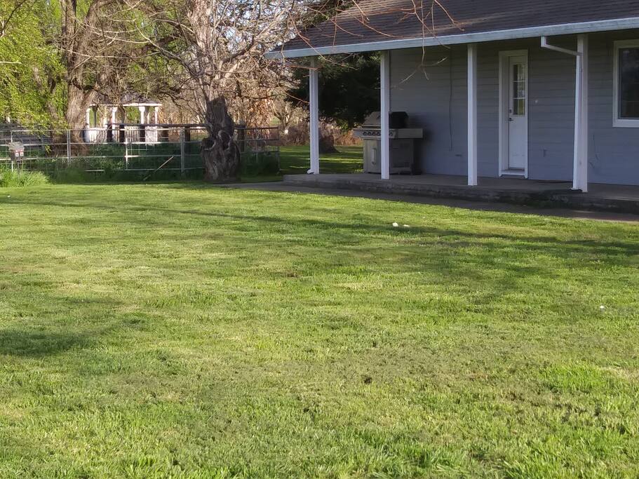 back porch and master suite entrance