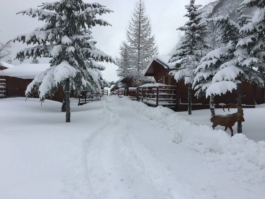 Vista davanti inverno