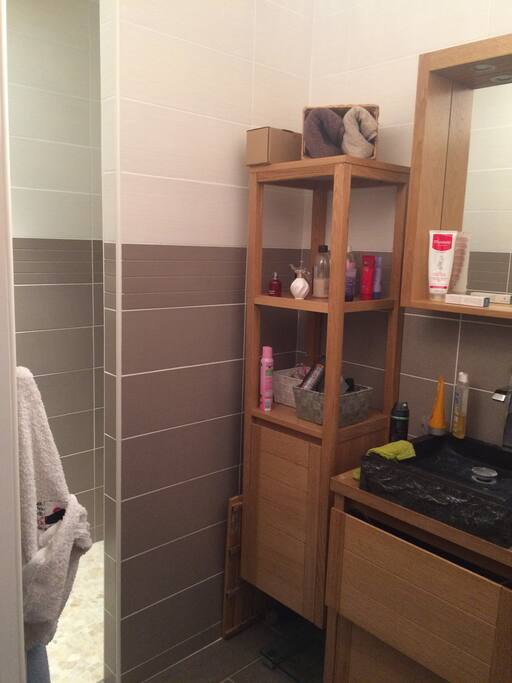 SDB à l'intérieur de la chambre.