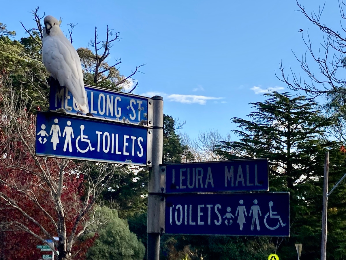 A white bird is perched on top of a street sign featuring directions to local amenities. The sign points to 'Toilets,' 'Leura Mall,' and 'Megalong St,' with symbols indicating accessibility. A clear blue sky and trees are visible in the background.