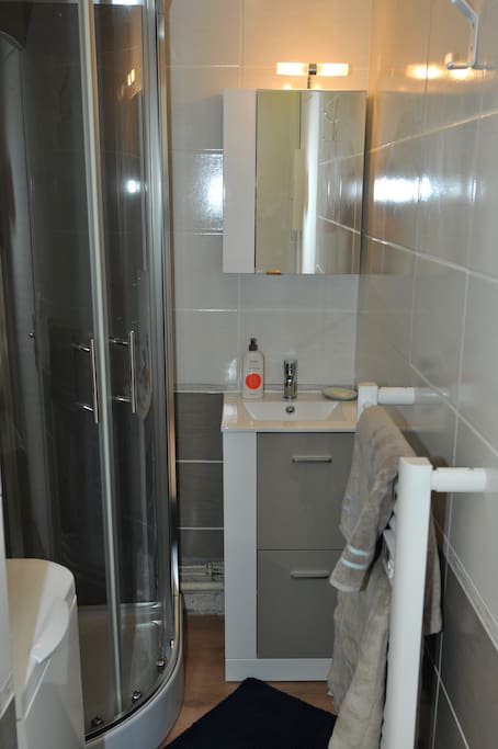 Salle de bain avec cabine de douche et machine à laver.