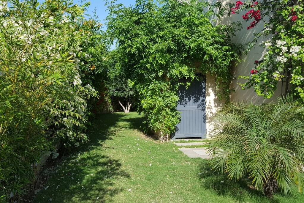 Le jardin