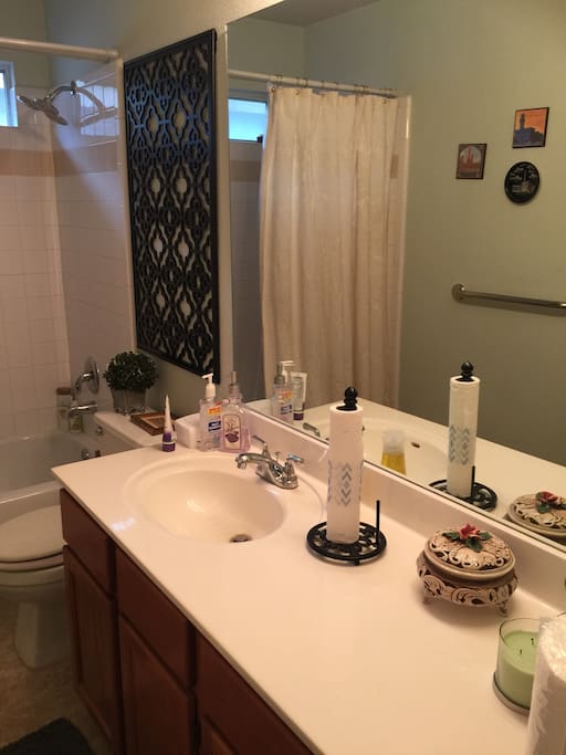 Private full bathroom for guests