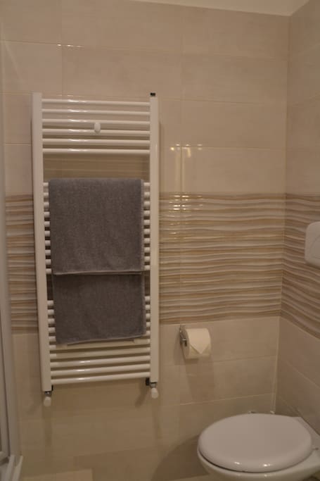 Bagno privato con doccia