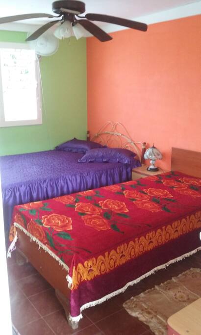 Habitación 1