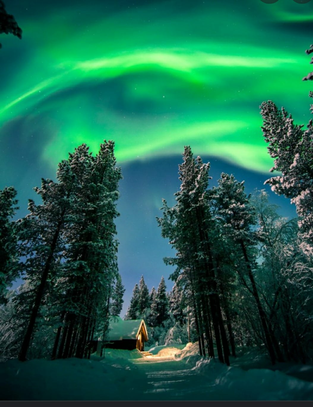 The image showcases a serene winter scene illuminated by the Northern Lights, casting vibrant green hues across the night sky. A small cabin is visible at the forefront, surrounded by tall evergreen trees blanketed in snow, creating a tranquil and picturesque ambiance.