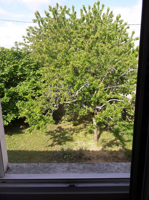 vue extérieure de la chambre