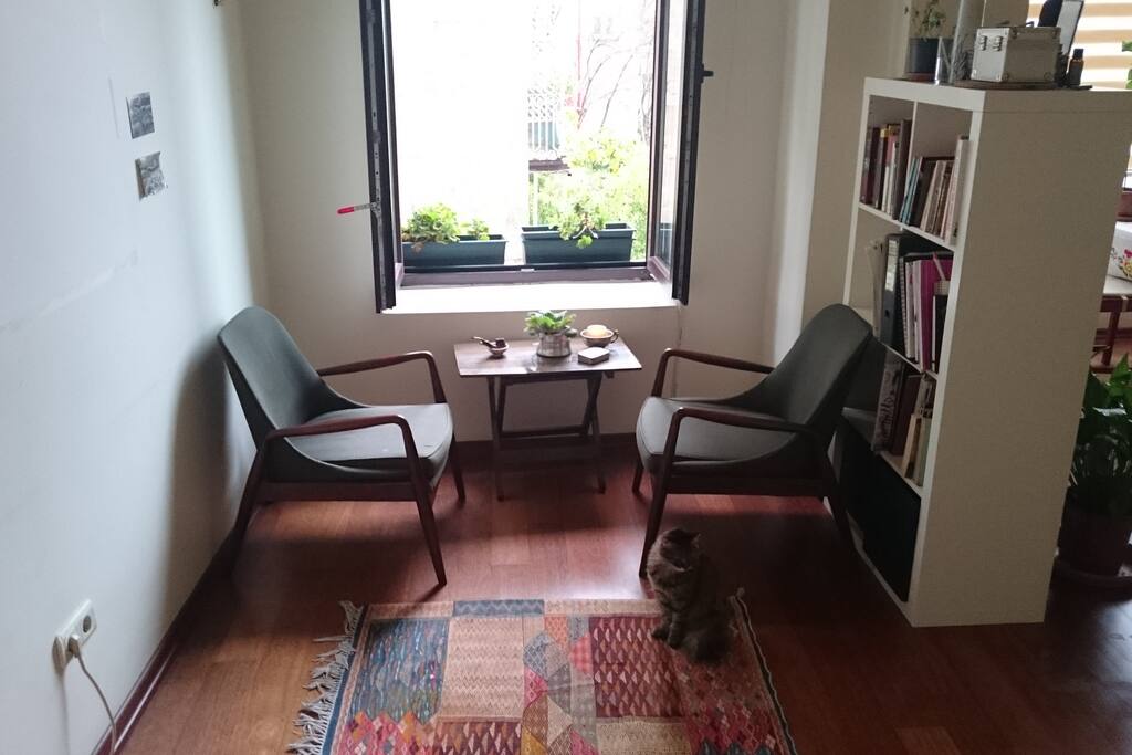 yes I do have a cat, but she won't be there when you rent the place.