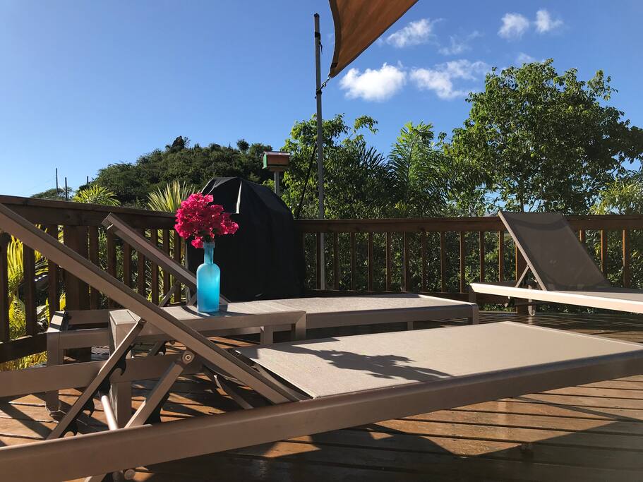 Sun loungers
