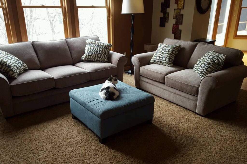 Main Floor Family Room (additional living room space)