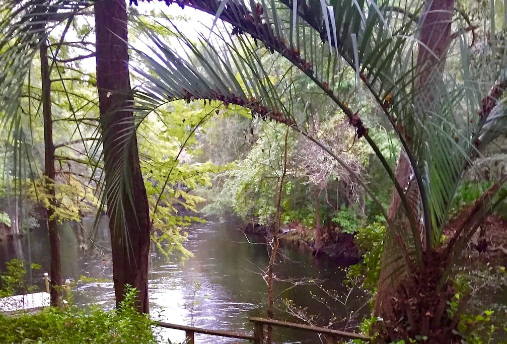 Riverfront Paradise -