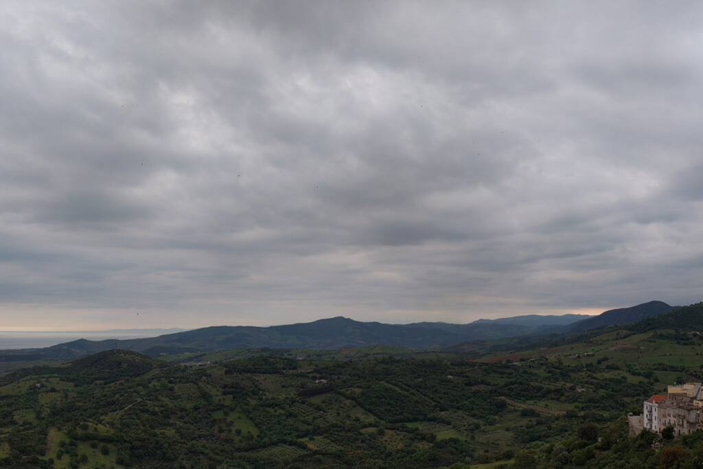 Panorama