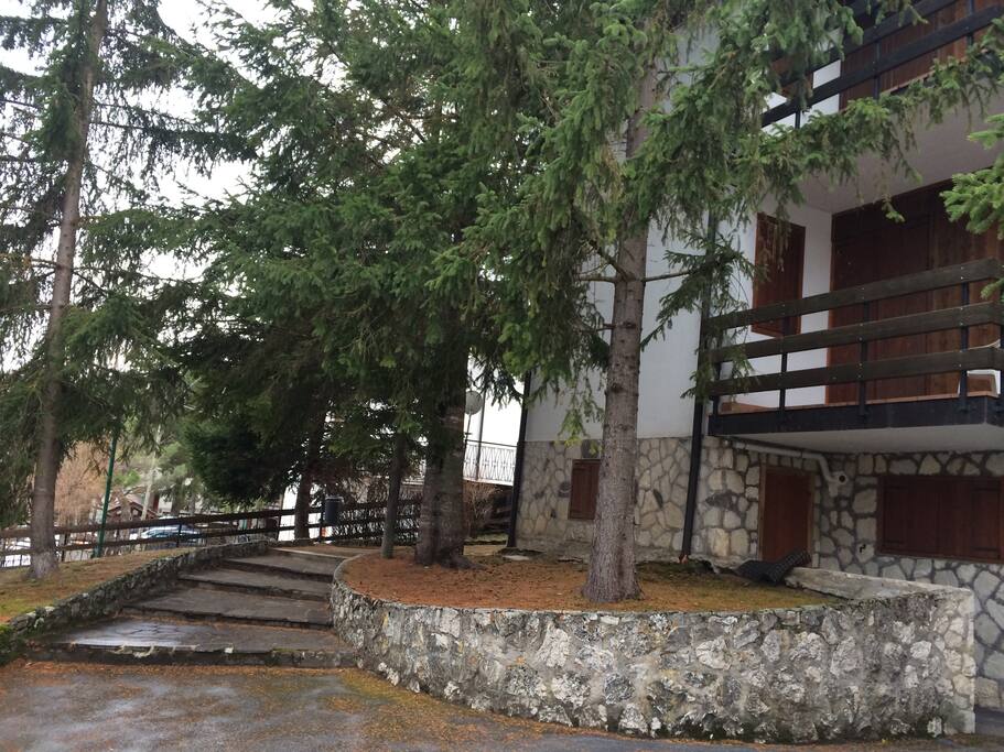 ingresso