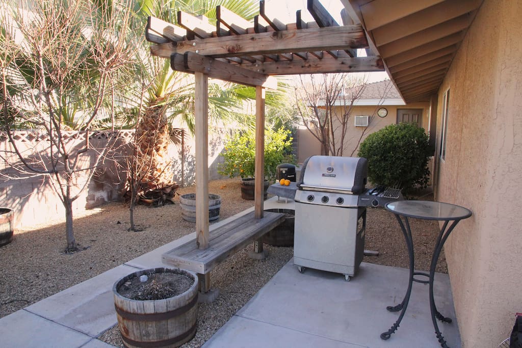 A propane grill and look at that lemon tree in the background. Wow!