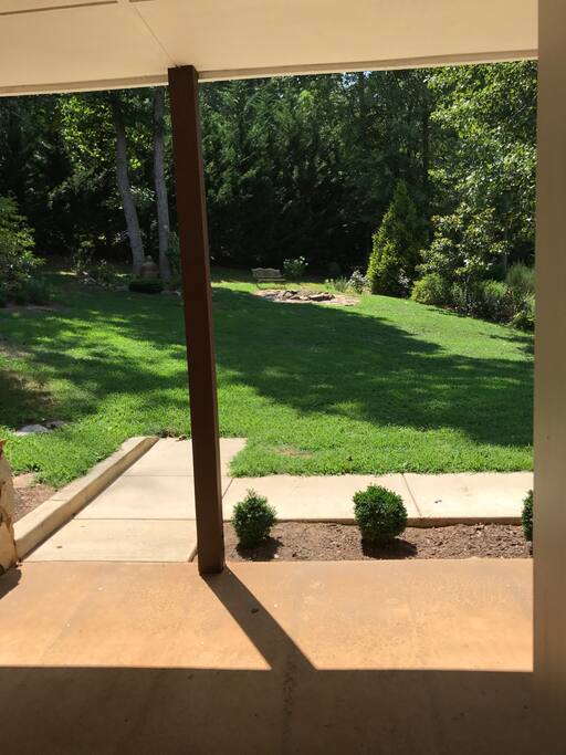 Back Yard