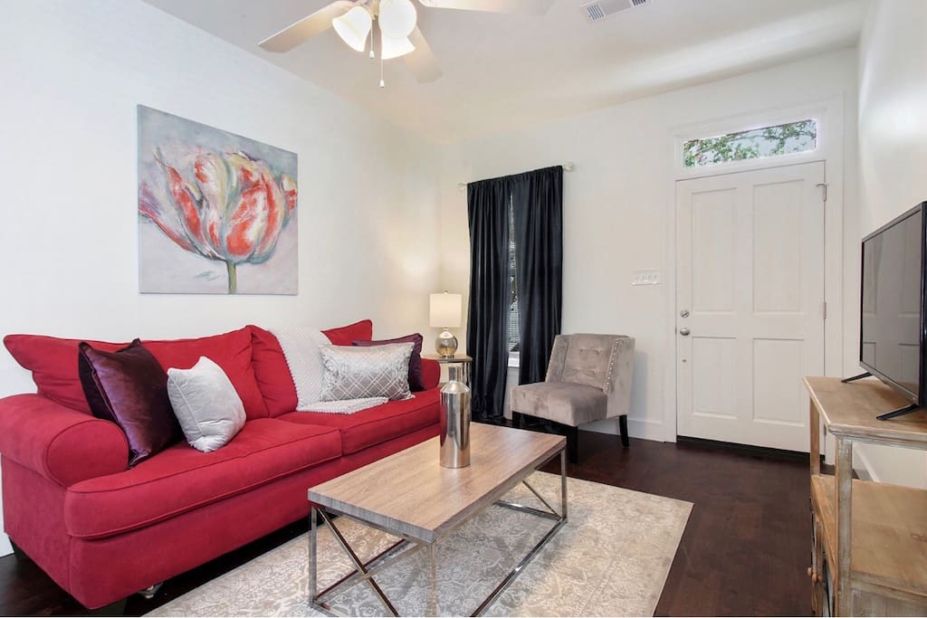 Cozy Living Area (Comfy Full Size Sofa Sleeper)