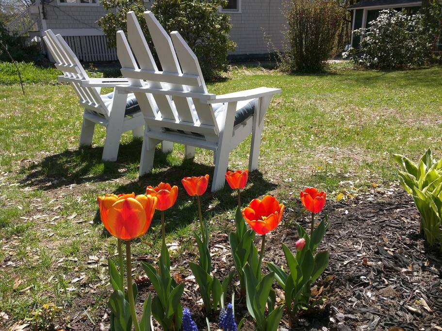 Soak up the Spring!