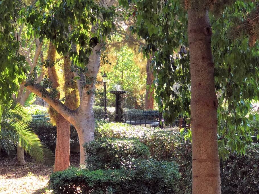 Nearby garden