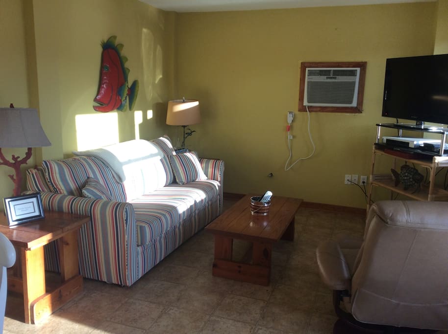 Pull out sofa in living area, Full size