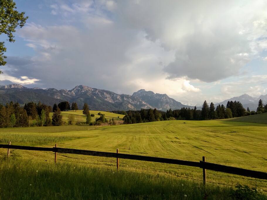Blick aus dem Wohnzimmer auf Schloss Neuschwanstein