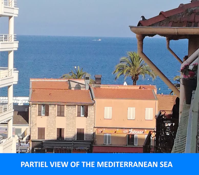 Vue de la terrasse / View from the balcony