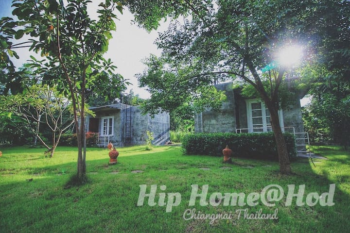 Hip Home@Hod (ฮิพโฮมแอดฮอด)