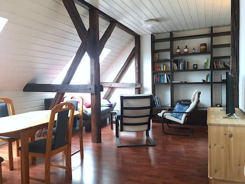 Top Airbnb: Large cozy apartment by the fairy tale district in Kassel