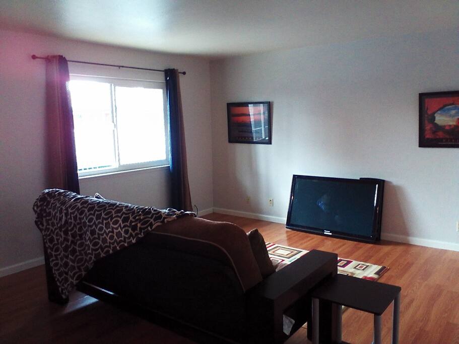 Living Room with TV & Sofa Bed