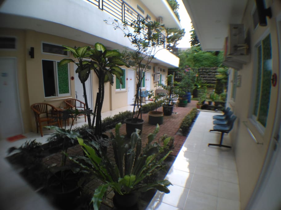 Bogor Homestay yard.