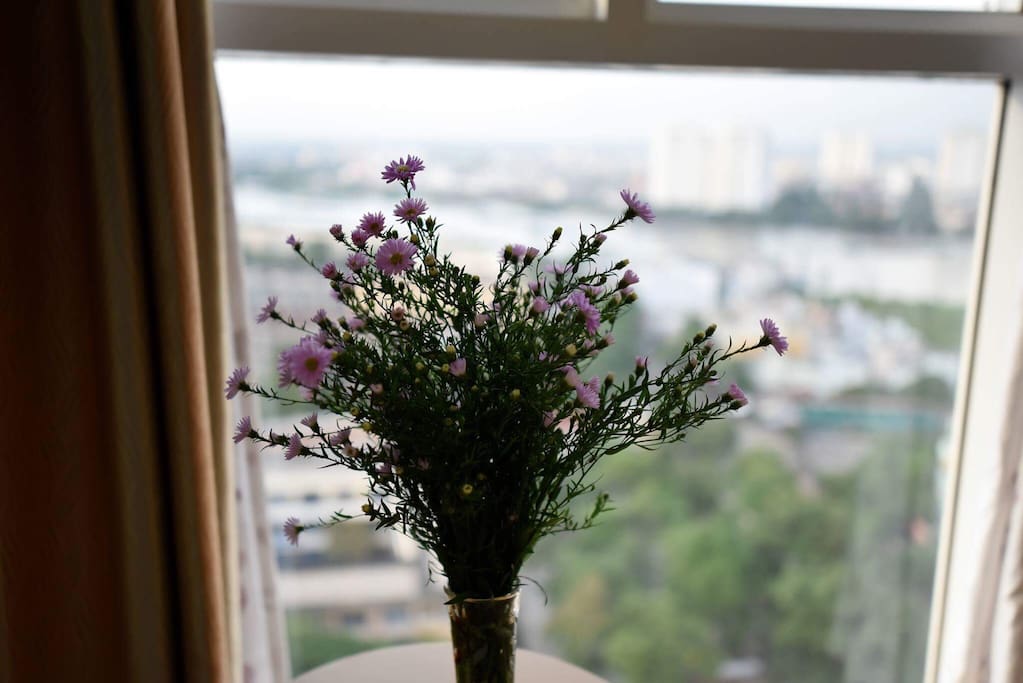 Forget me not...