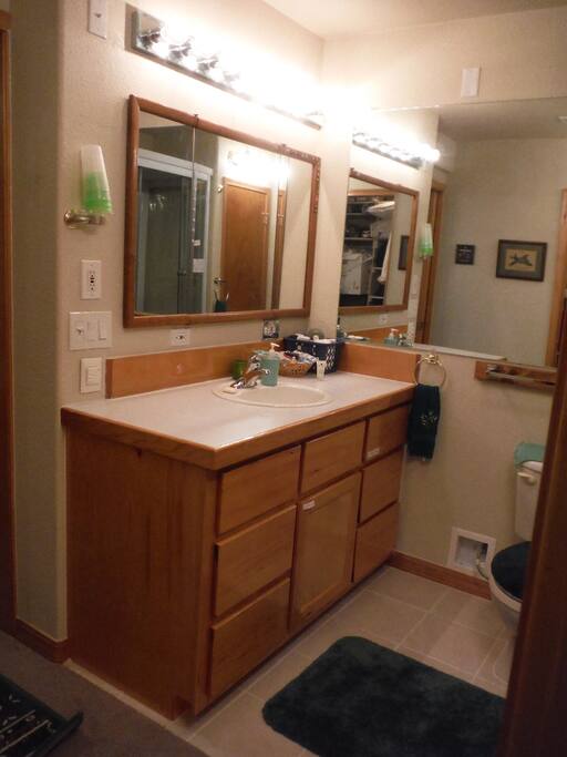 Private en suite bathroom with walk-in closet.
