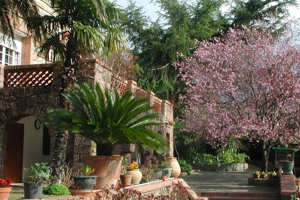 Le patio