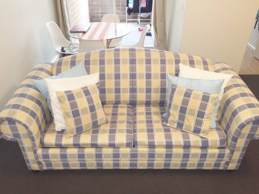 Fold out sofa couch