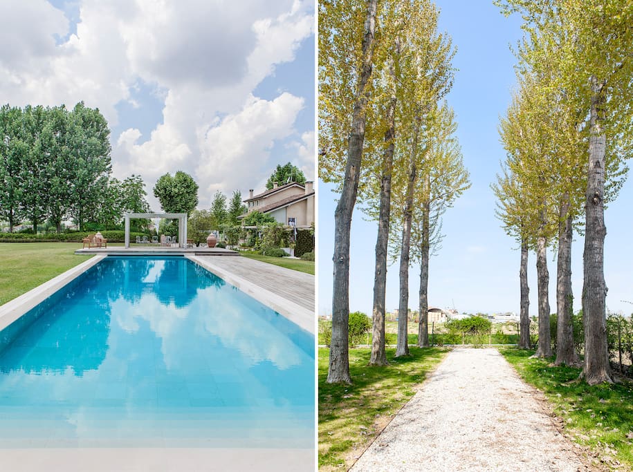 Pool and garden