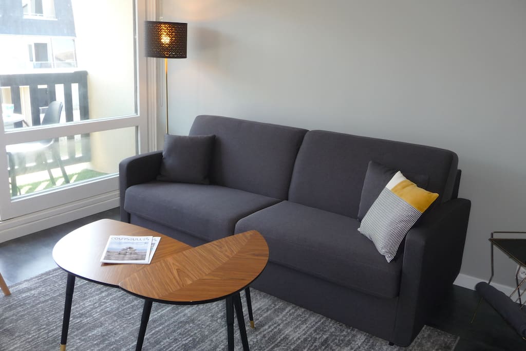 Salon avec Canapé-lit Rapido couchage 160 et Télévision
