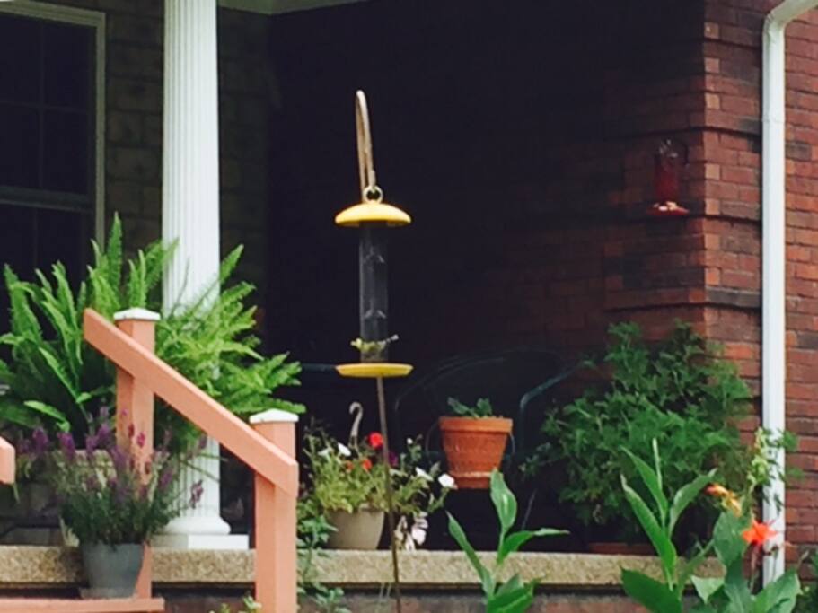 Lots of flowers and bird feeders