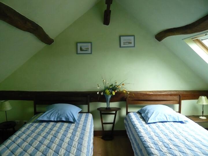 Frog Room
2 camas de solteiro