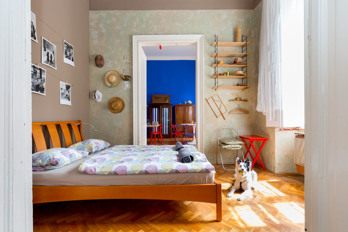 A well-lit bedroom features a wooden bed with a patterned duvet, complemented by a chair and a dog lounging on the floor. The blue wall serves as a backdrop to visible dining furniture, while photographs and hats are arranged on the walls, adding character to the space.