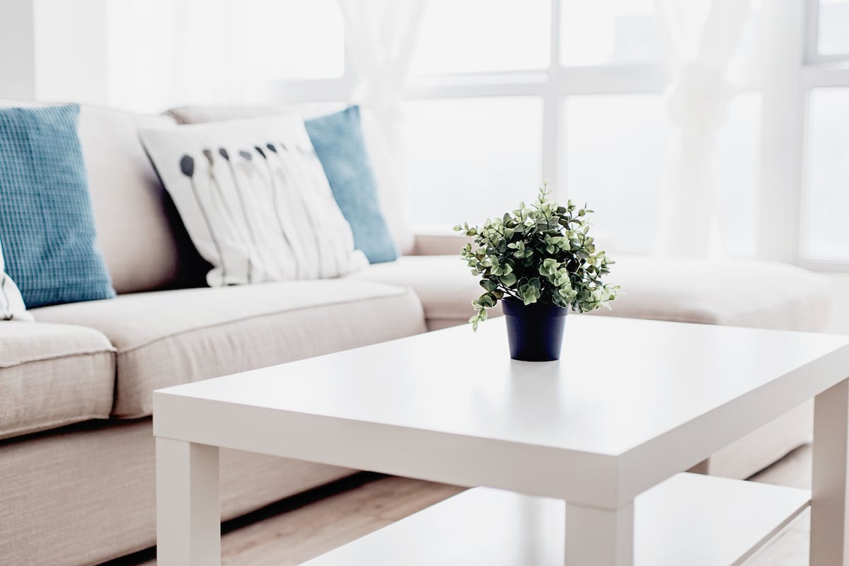 A light-filled living area features a beige sofa adorned with blue and white decorative pillows. A small potted plant sits on a white coffee table, complementing the modern decor. Large windows provide a bright, airy ambiance.