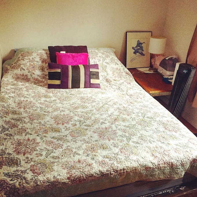 Filtered view of the bed from a couple months ago.